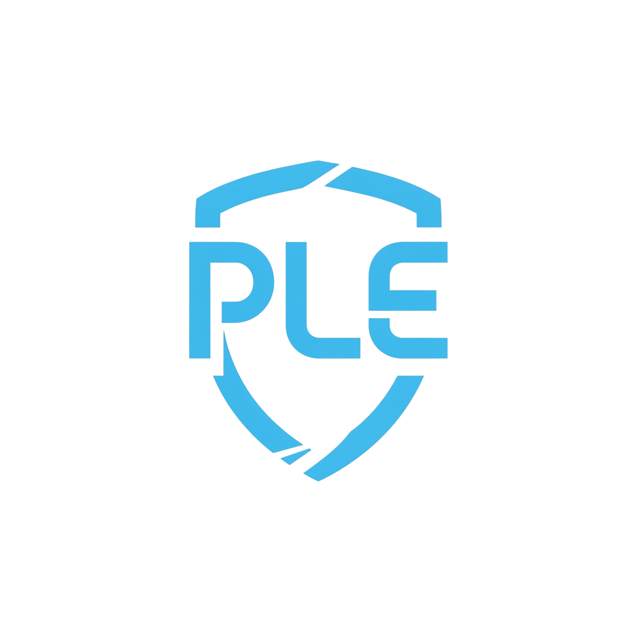 PLE Cyber Security logo